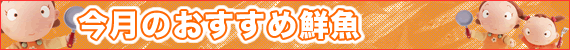 今月のおすすめ鮮魚