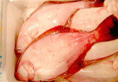 akakarei
