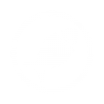 fish fish