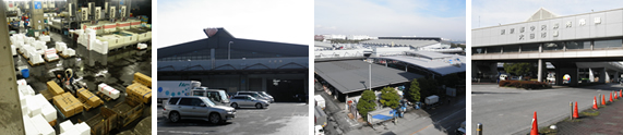 大田魚力01 大田魚力01